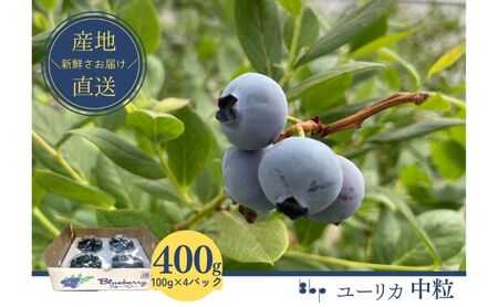 【栽培期間中農薬不使用】フレッシュブルーベリー　(ユーリカ中粒100g×4）