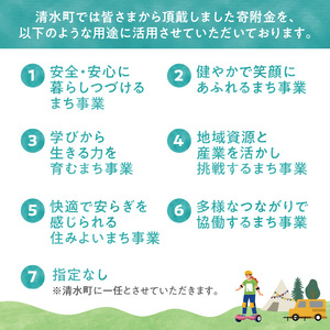 【返礼品なし】北海道清水町への寄附 応援 支援 寄付のみ 返礼品なし (1口：1,000円)【 寄附 おうえん 応援 しえん 支援 応援したい おうえん寄付金 応援寄付金 寄付のみ 返礼品なし 返礼品