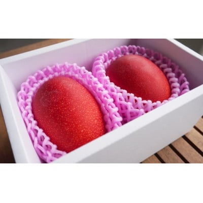 【2026年7月中旬より順次発送】完熟マンゴー約1kg(2～3個:化粧箱入り)、家庭用(B級品)【配送不可地域：離島】