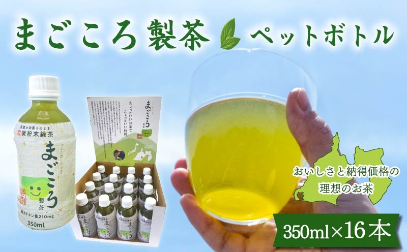 まごころ製茶 ペットボトル 350ml 16本 セット お茶 藤枝茶 緑茶 日本茶 飲料 持ち運び 便利 ペットボトル茶 微粉末緑茶 カテキン ご褒美 贈答 プレゼント 静岡県 藤枝市