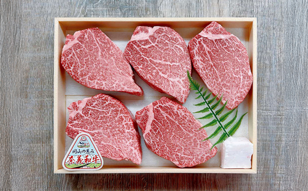 【天満屋選定品】百貨店バイヤーおすすめ！奈義和牛　ヒレステーキ　750g（150g×5枚）【奈義和牛 ヒレ 地域ブランド牛 黒毛和牛 肉 牛 ステーキ】