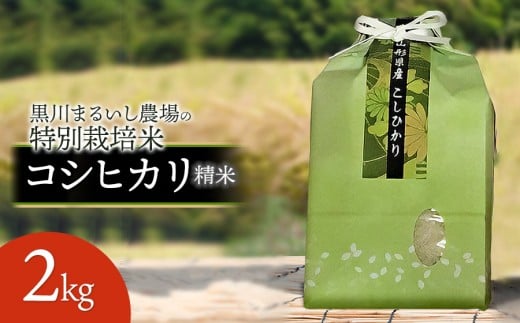 【令和7年産先行予約】 黒川まるいし農場の特別栽培米 コシヒカリ 2kg　山形県鶴岡市産　K-721