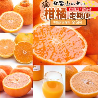 ふるさと納税 広川町 【発送月固定定期便】家庭用 柑橘定期便M(奇数月)全6回