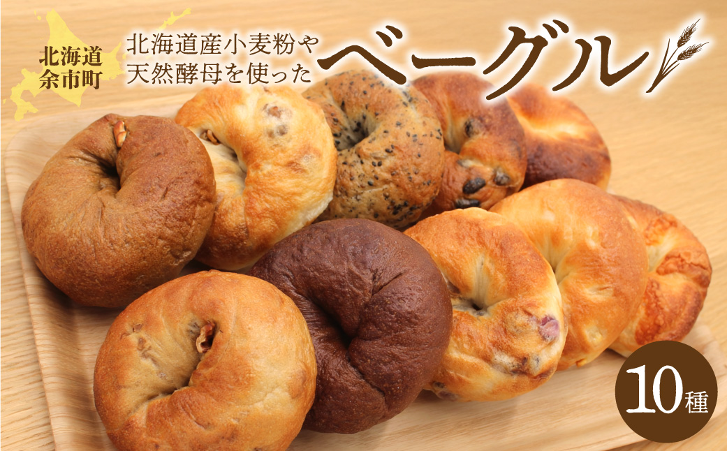 北海道産小麦使用！選べる楽しさ！ベーグル10種セット プレーン・チョコ・いちじく等 天然酵母_Y095-0012