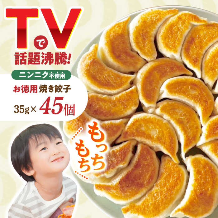 【ふるさと納税】＜TVで紹介＞大容量 焼き餃子 45個 / ギョウザ ぎょうざ 餃子 焼餃子 冷凍 / 諫早市 / 餃子のかわしも [AHBM003]