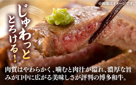 博多和牛サーロインステーキセット 500g（250g × 2枚）【株式会社Meat Plus】《豊前市》肉 ステーキ サーロイン[VBB011] ステーキ サーロインステーキ 博多和牛ステーキ 絶品ス