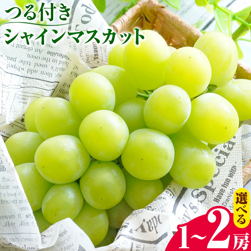 【ふるさと納税】【先行予約】岡山県産 選べる つる付き シャインマスカット 1房 (680g以上) 2房 (580g以上) 有限会社ホーティカルチャー神島《選択する栽培方法で出荷時期が異なります》岡山県 浅口市 マスカット ぶどう 葡萄 果物【配送不可地域あり】