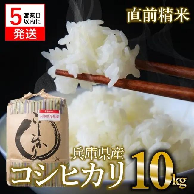 コシヒカリ 10kg 白米 令和７年産 精米 白米【スピード発送】