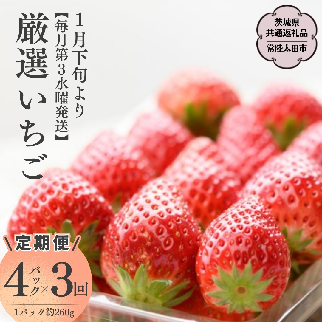 【2025年1月下旬】【定期コース】厳選いちご ４パック×3回【第3水曜発送】（茨城県共通返礼品／常陸太田市） フルーツ 苺 イチゴ いちご 新鮮 朝採れ 茨城県 桧山FRUITFARM [DY010sa]