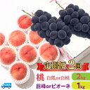 【ふるさと納税】＜25年発送先行予約＞【2回定期便】桃・巨峰orピオーネ ふるさと納税 もも 桃 シャインマスカット ぶどう ブドウ 葡萄 笛吹市 国産 人気 期間限定 果物 フルーツ 旬 山梨県 送料無料 106-024