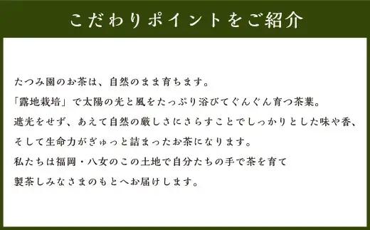 八女茶 Rooji＋ 煎茶ティーバッグ × 1個 お茶 煎茶 緑茶 ティーバッグ 国産 福岡県産