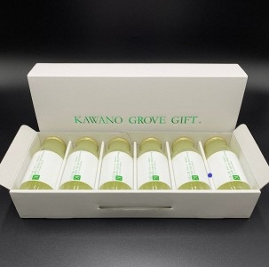 高知県 土佐市産 Konatsu Drink KD 20％ 160ml (6本入) 高知県 土佐市【川野果樹園】 [BQCB001]