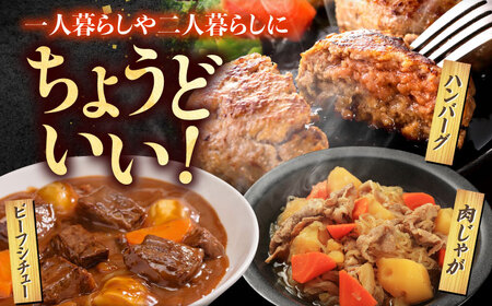 【12回定期便】肉ざんまい定期便（一人暮らし向け・少量） / 牛肉 [IAX051]