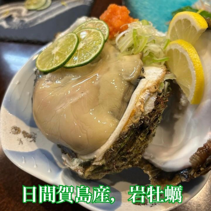 
            選べる 日間賀島産 天然 岩牡蠣 2~6kg 岩牡蠣 牡蠣 かき 岩ガキ 伊勢湾 日間賀島 新鮮 鮮度抜群 ふるさと納税牡蠣 美味しい牡蠣 美味い牡蠣 魚貝類 魚貝類 貝 かい 魚介類 海鮮 夕食 ごはん 鮮度抜群 冷蔵 新鮮
          