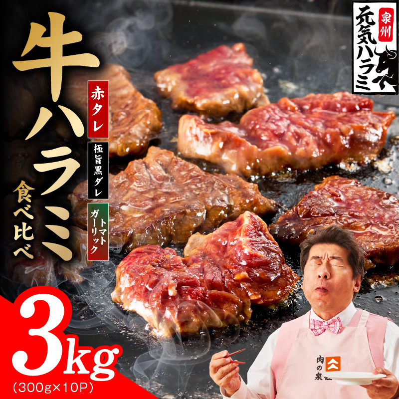 【3種食べ比べ】牛ハラミ肉 3kg（300g×10P）【牛肉 はらみ 小分け 焼肉 お弁当 BBQ 訳あり ワケアリ わけあり サイズ不揃い 規格外 TVで話題】 G4695