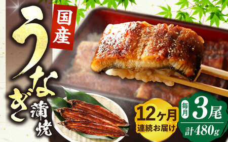 【全12回定期便】福岡県産 うなぎ 蒲焼 大3尾 合計 480 g（1尾あたり 160g以上）[VAD016] 国産 うなぎ