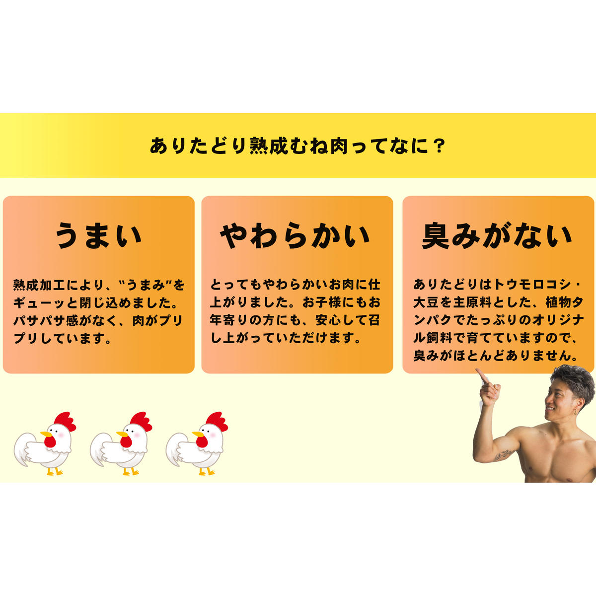 【3回定期便 総計7.2kg】 ありたどり 熟成むね肉 計2.4kg (300g×8パック) 3回 定期便 鶏肉 むね肉 ムネ肉 胸肉 小分け 真空パック N35-5_イメージ5