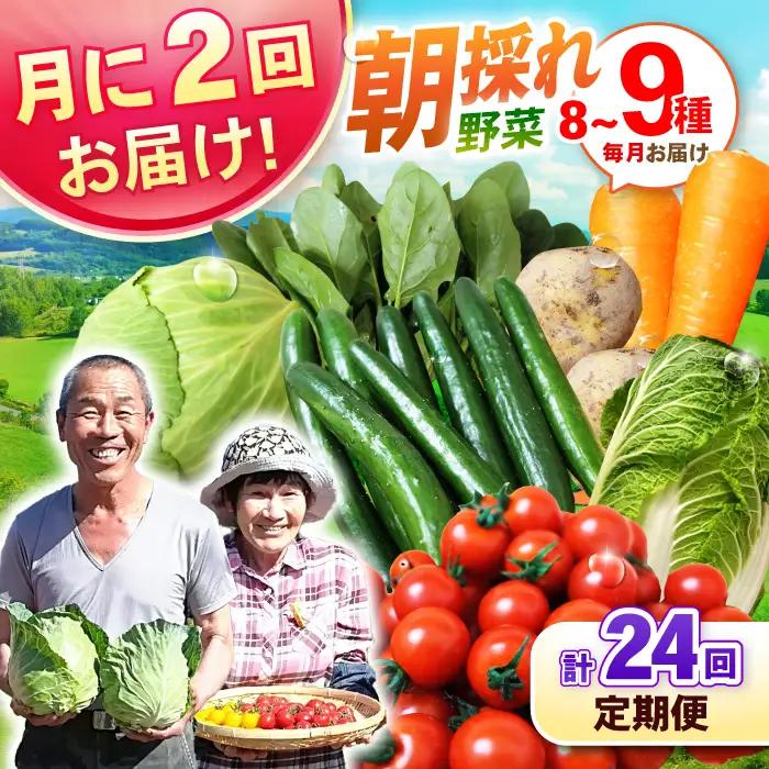 月2回お届け【24回定期便】諫早産 野菜の詰め合わせ 8・9品目程度 / 季節 旬 野菜 やさい 春野菜 夏野菜 秋野菜 野菜セット 詰め合わせ 野菜定期 野菜定期便 定期便 / 諫早市 / 肥前グローカル株式会社[AHDI015]