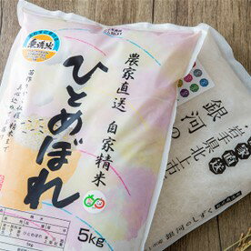 【ふるさと納税】令和7年産 無洗米 食べ比べ 銀河のしずく ・ ひとめぼれ 各 5kg (合計 10kg )セット 北上産 お米 ご飯 国産 産地直送 ブランド米 オリジナル 品種 千田さん の お米 千田敏夫 岩手県 北上市 G0224 こめ コメ