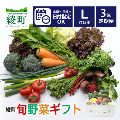 綾町旬野菜ギフト（Lサイズ）【全３回定期便】