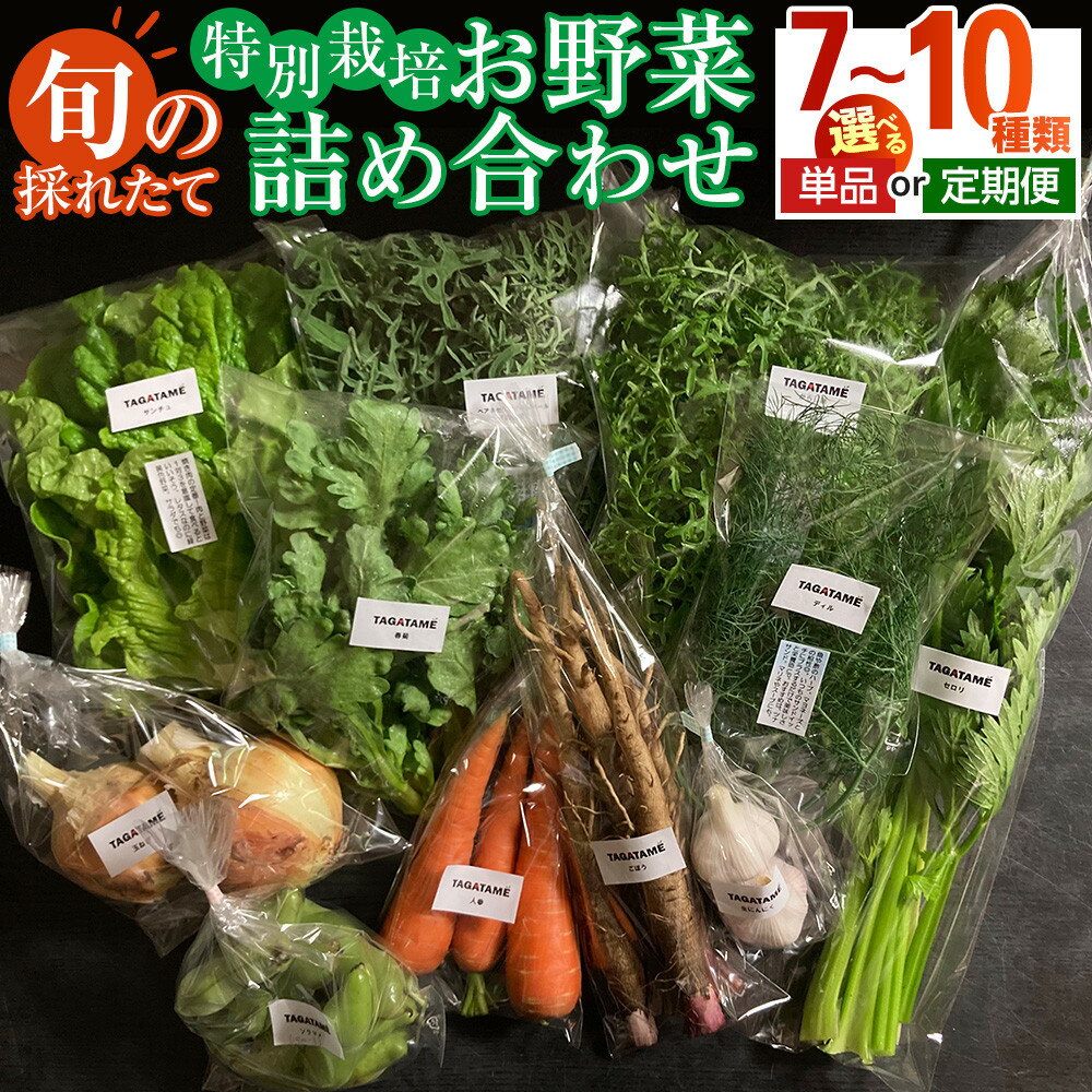 【ふるさと納税】【選べる配送】特別栽培 旬の採れたて 7～10種類お野菜詰め合わせセット TAGATAME タガタメ【野菜 特別栽培 有機野菜 農薬不使用 無農薬】
