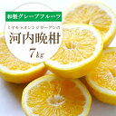 【ふるさと納税】【2025年4月下旬頃出荷】さっぱり爽やか 和製グレープフルーツ 河内晩柑7kg【D25-13】_ みかん ミカン 柑橘 フルーツ 果物 くだもの 青果 河内晩柑 晩柑 愛媛 ギフト 贈答 産直 産地直送 国産 和製グレープフルーツ 旬 希少 【1268372】