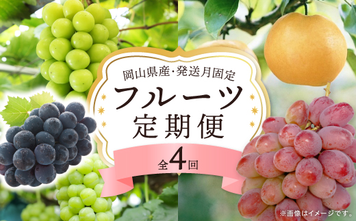 【発送月固定定期便】岡山県産 フルーツ定期便全4回_フルーツ 定期便 旬 果物 食べ比べ 岡山県 津山市 デザート 葡萄 ぶどう 梨 愛宕梨 シャインマスカット 送料無料 贈答 ギフト【4075037】