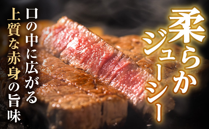 【12回定期便】長崎和牛 A5 ヒレステーキ 300g(150g×2枚) / ヒレステーキ 長崎和牛 A5 希少部位 / 諫早市 / 野中精肉店 [AHCW049]