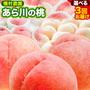 【ふるさと納税】【 3回 定期便 】あら川の桃 選べる 約1.8kg-2kg×3回 or 約3.5kg-4kg×3回 旬の品種3回お届け 3回お届け 橋村農園 《6月下旬-8月中旬頃出荷》 和歌山県 紀の川市