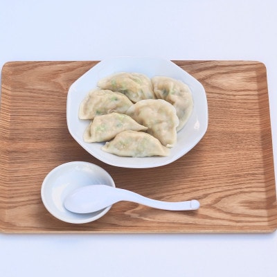 富山名物ミッちゃん餃子　自家製冷凍餃子12個入り4パック【配送不可地域：離島】