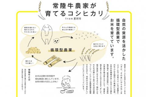 定期便 常陸牛農家が育てるコシヒカリ 5kg×6回 令和7年度産 米 お米 白米 こめ 精米 取り寄せ 特産 ごはん ご飯 コメ お取り寄せ ギフト 贈り物 お弁当 弁当 おにぎり ふっくら ツヤツヤ