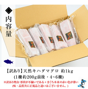 訳あり！天然キハダマグロ1kg!(柵4～6本)便利な柵でお届け♪お刺身や海鮮丼に♪【A-1736H】