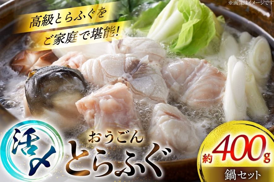 
                  ふぐ 鍋 セット 活〆 おうごんとらふぐ 鍋セット 約400g [松永水産 長崎県 平戸市 hr42bvj550038] とらふぐ フグ 河豚 てっちり ふぐちり ふぐ料理 魚介 さかな 切り身 冷凍 海鮮 ふぐ鍋 唐揚げ ポン酢
                