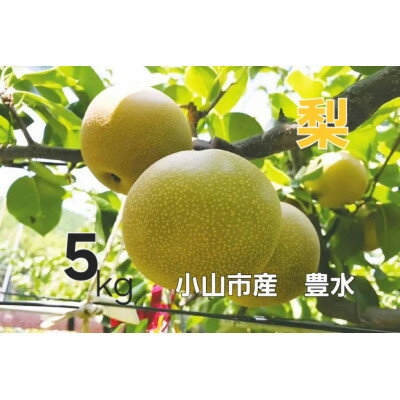 【ふるさと納税】【5kg】栃木県小山市産　豊水 梨【1617299】