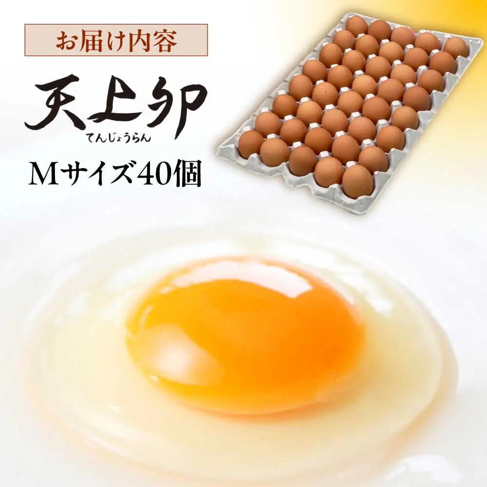 平飼い 卵  「 天上卵 」 40個 セット 《糸島》 糸島市 / 糸島ファームハウスUOVO [AKH005] 鶏卵 平飼い 平飼い卵 玉子 たまご 高級 自然 新鮮 自家配合飼料
