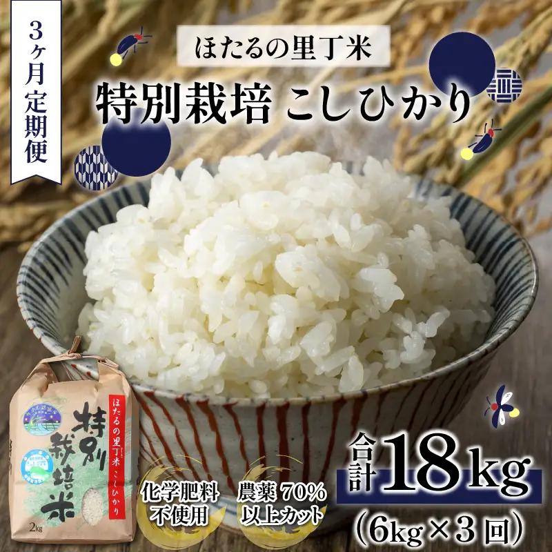 【新米予約受付中】令和8年産 特別栽培こしひかり 6kg 3回定期便 新米【F-002001】