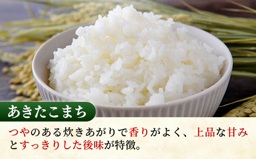 ☆令和7年産☆ 新米 『あきたこまち』精米10kg(5kg×2袋) 出荷日に合わせて精米 あきたこまち 米 お米 10kg コメ こめ 人気 銘柄 家計応援 家庭用 茨城県産 茨城県 五霞町【価格変更