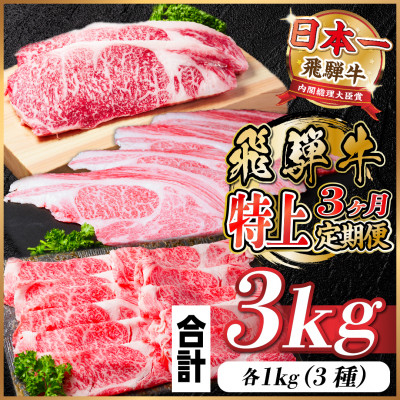 
            ＜毎月定期便＞飛騨牛 特上定期便 計3kg全3回【4057132】
          