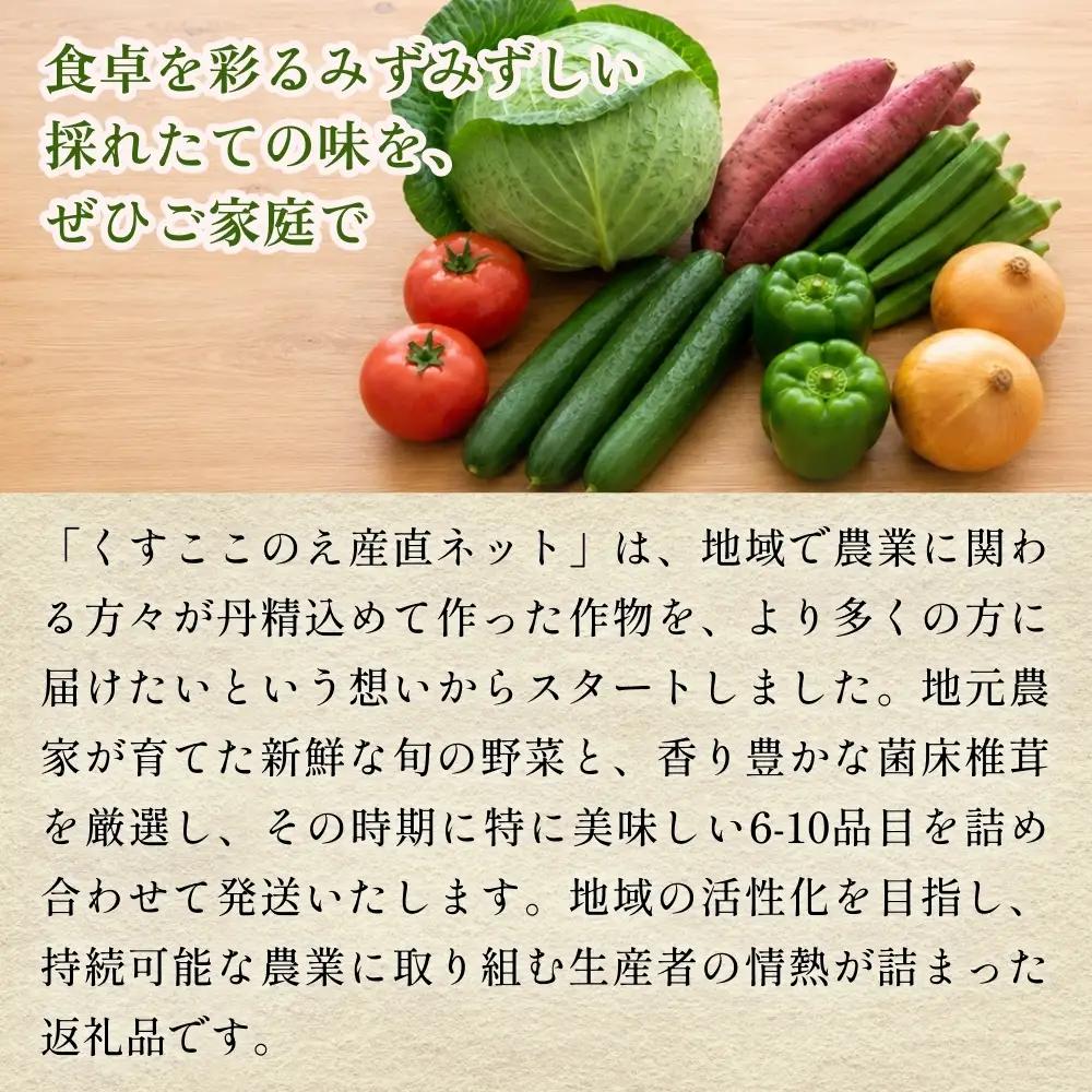 【ふるさと納税】6回定期便　玖珠の 旬野菜 ・ きのこ 6-10品 詰め合わせ  ｜ 大分県玖珠町 野菜 きのこ 旬 定期便 冷蔵 産地直送 新鮮 お取り寄せ