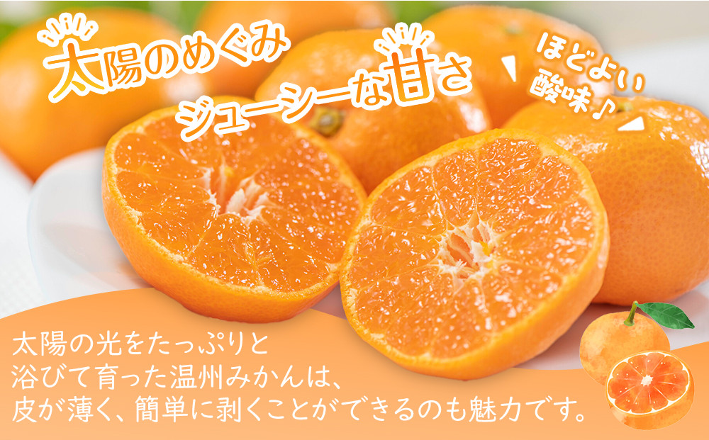 【2025年11月上旬より順次発送】極撰！温州みかん　約5kg