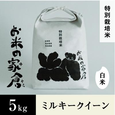 ふるさと納税 長浜市 【新米:令和7年産】滋賀県長浜市　お米が甘い!特別栽培　ミルキークイーン　5K白米