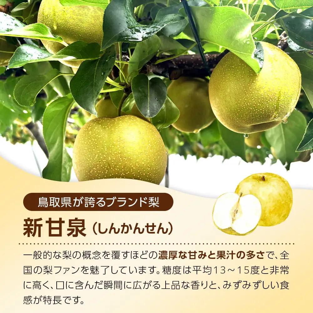 1121．【2026年度発送先行予約】数量限定　新甘泉　5kg