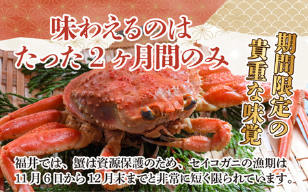 【先行予約】【数量・期間限定】福井県産 越前コッペガニ（セイコガニ）×4杯【急速冷凍】（プロトン凍結）【11月下旬より発送】