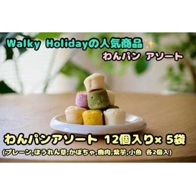 ふるさと納税 富田林市 【わんちゃん用ペットフード】WalkyHoliday わんパン 5袋