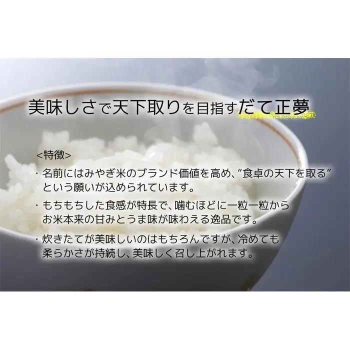 【だて正夢】令和7年度産 精米 5kg（5kg×1袋）宮城県産 【米 お米 こめ コメ ご飯 ごはん】