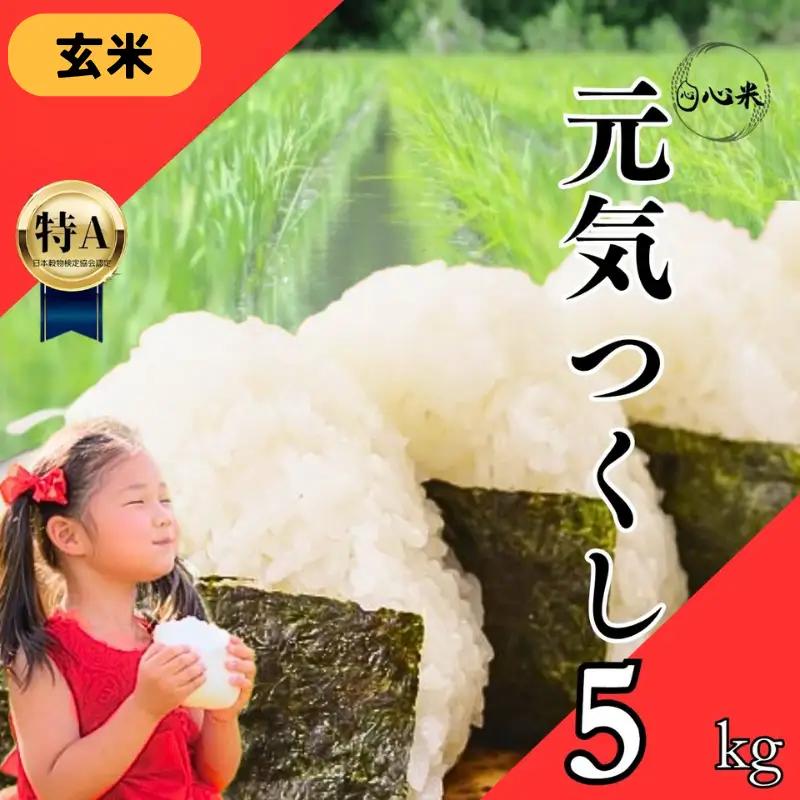 【福岡県産玄米】元気つくし　玄米5kg【配送不可地域：離島・沖縄県】【TKR016】
