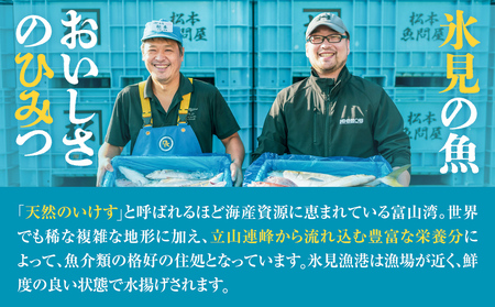 【偶数月 全6回 定期便】氷見漁港で競り落としたお刺身詰め合わせセット 〈冷凍〉　| 　刺身セット 鮮魚 詰め合わせ 富山湾 海の幸 魚介類 お魚 刺し身 さしみ 氷見漁港 柵 冷凍 瞬間凍結 隔月 