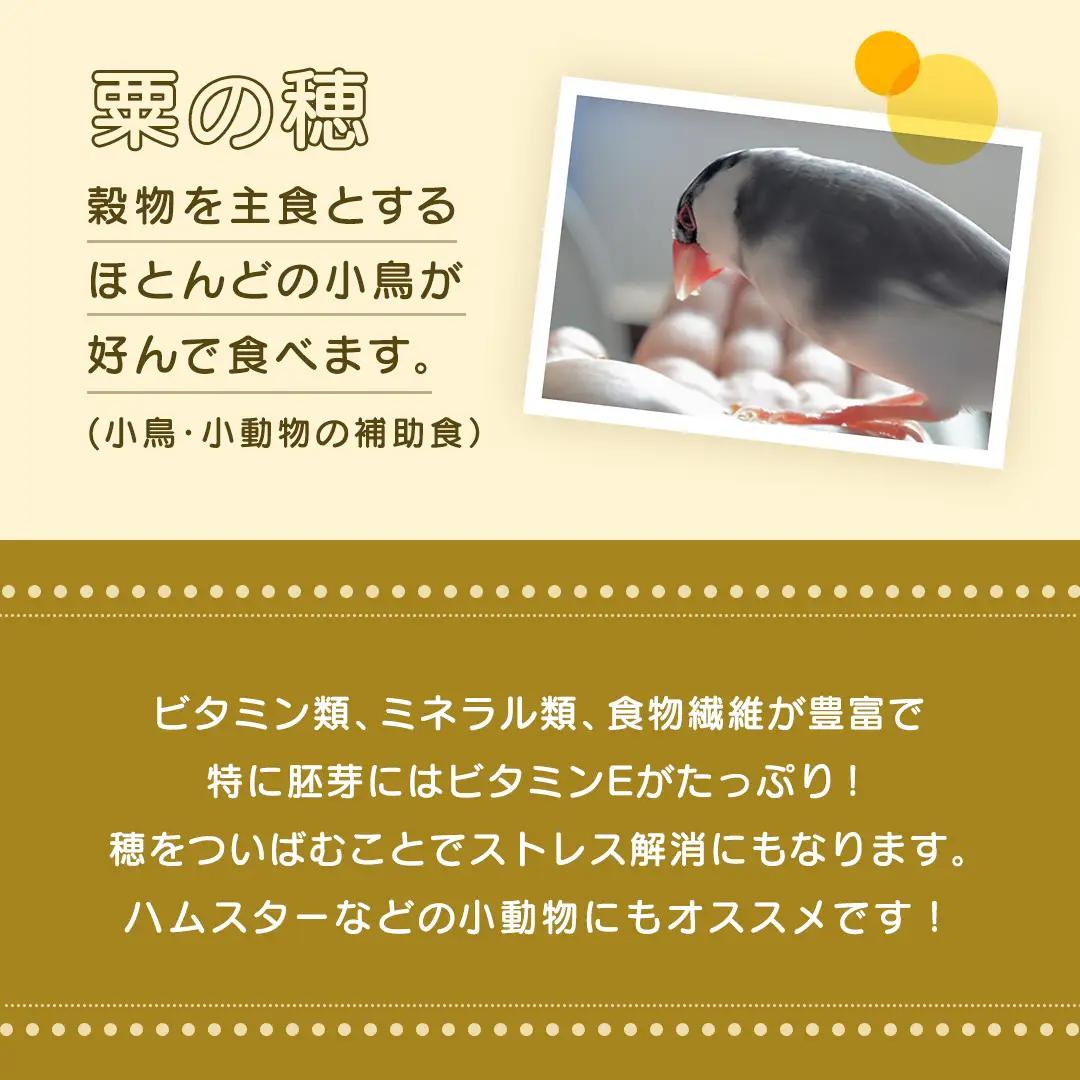 エクセル 粟の穂 130g × 5袋 小鳥用 鳥 ハムスター 小動物 ペットフード 餌 えさ ビタミン ミネラル 食物繊維 穀物  [BU023sa]