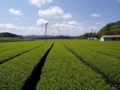 KH-05　伊勢茶と松阪牛のしぐれ煮の贅沢お茶漬けセット