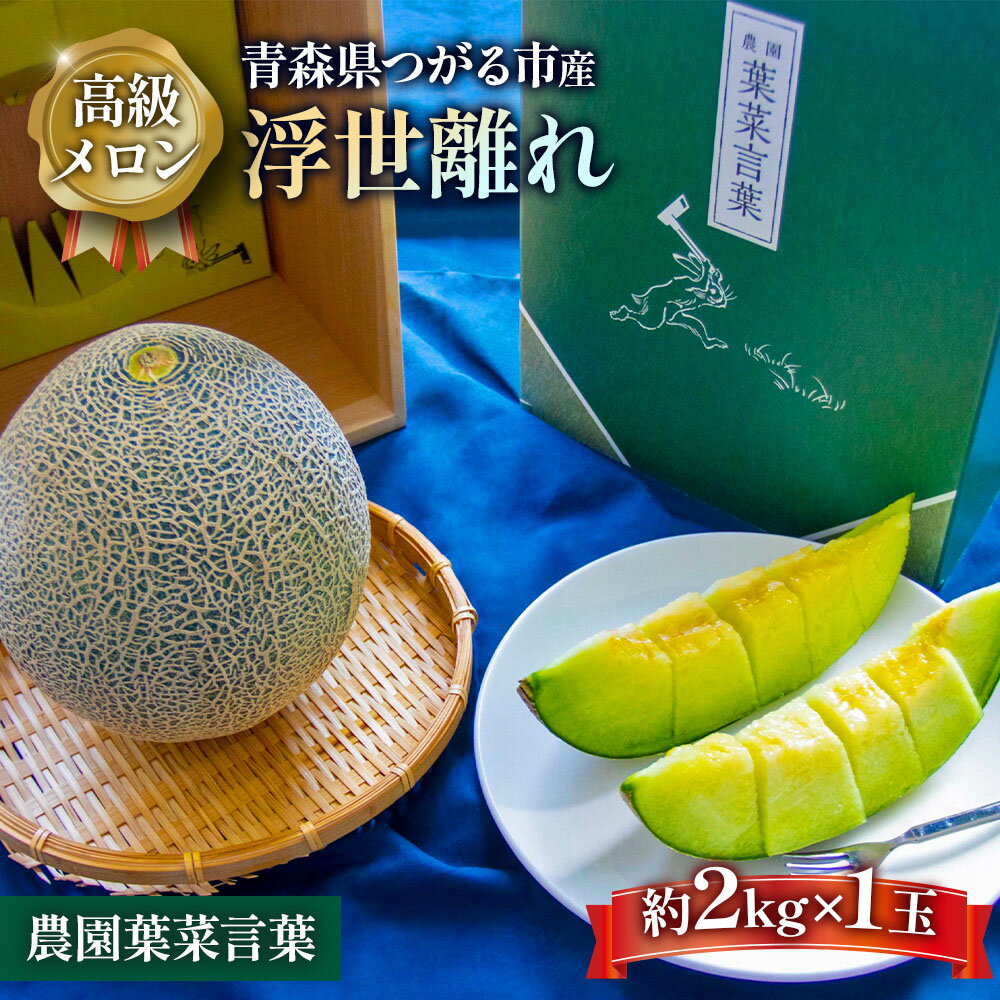 【ふるさと納税】高級 メロン『浮世離れ』1玉【2024年7月下旬～8月中まで順次発送】一度は食べてみたい！市場に出回らない｜青森産 津軽 つがる めろん 先行予約 [0617]